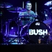 Bush