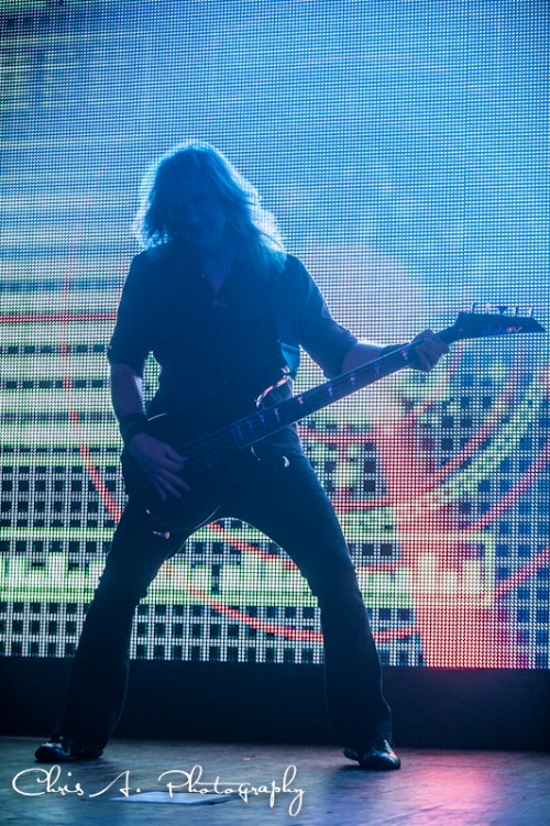 David Ellefson