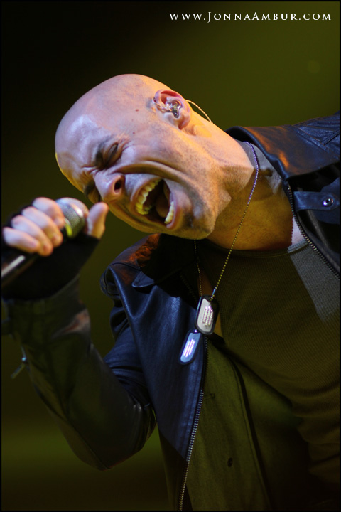 Daughtry