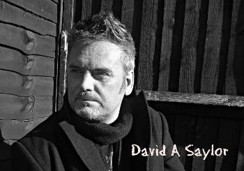 David saylor