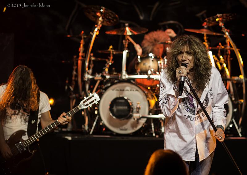 whitesnake2