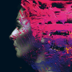 steven wilson hand cannot erase